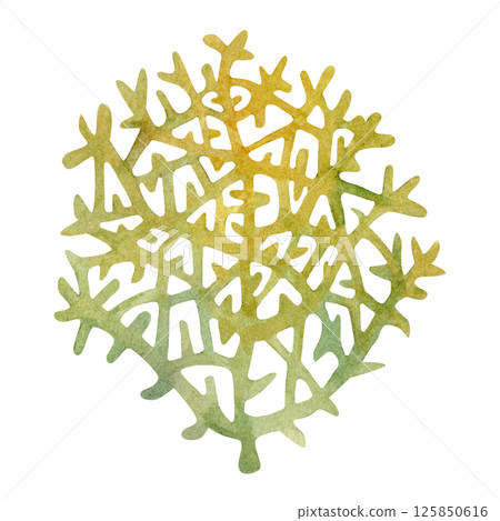 Fire coral, inhabitant of coral reefs. Watercolor illustration of multicolored reticulated fire coral isolated on white background for marine design, snorkeling, diving, book, art, craft, textile. Fire coral, inhabitant of coral reefs. Watercolor illustration of multicolored reticulated fire coral isolated on white background for marine design, snorkeling, diving, book, art, craft, textile. 125850616