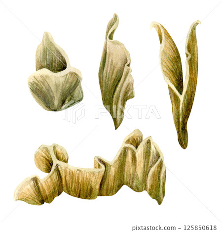 Wave-shaped plate corals, inhabitants of coral reefs. Watercolor set of plate fire corals of different shapes isolated on white background for marine design, snorkeling, diving, book, art, textile 125850618
