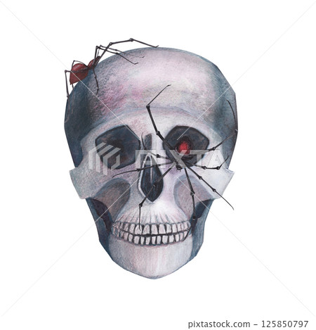 Scull with spider gothic magical texture isolated on white background. Watercolor hand drawn esoterics sketch skull illustration. Art for design mystical halloween witch decoration, scary card 125850797