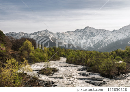 從水神宮橋眺望白雪皚皚的北阿爾卑斯山和姬川 125850828