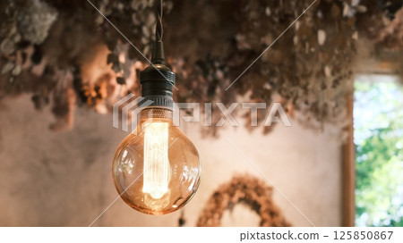 a Incandescent bright bulb under the rooftop of Preserved flower in a natural farm house a Incandescent bright bulb under the rooftop of Preserved flower in a natural farm house 125850867