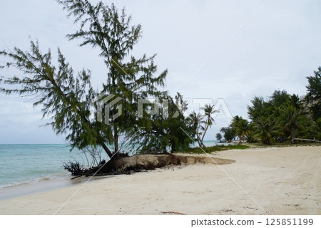 Micro Beach in Saipan 125851199