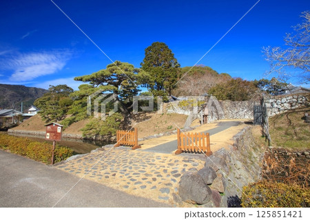 安芸市街景 土華中(安芸城跡)/重要傳統建築群保存地區 安芸市街景 土華中(安芸城跡)/重要傳統建築群保存地區 125851421