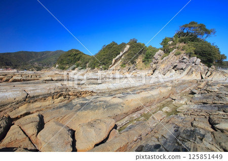 足摺岬附近的龍串海岸地層 / 日本地質百選之一 / 日本首個水中公園 125851449