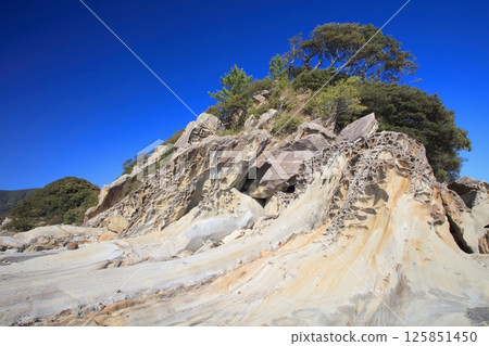 Strata of Tatsukushi Coast near Cape Ashizuri / One of Japan's Top 100 Geological Sites / Japan's first underwater park 125851450