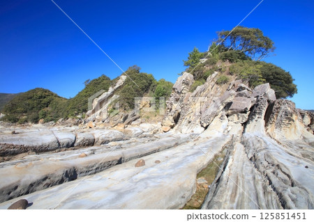 足摺岬附近的龍串海岸地層 / 日本地質百選之一 / 日本首個水中公園 125851451