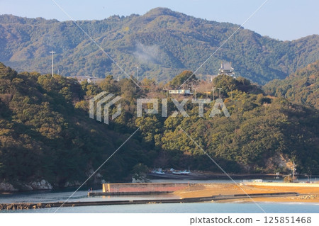 Hiwasa Castle (from the observation deck on top of Ebisu Cave, a scenic spot on Ohama Coast) 125851468