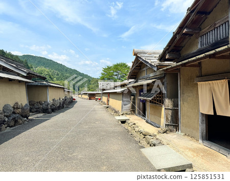 Ichijodani Asakura Ruins 125851531