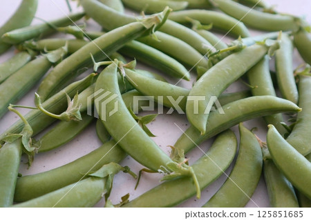 Snap peas harvested in the field Snap peas harvested in the field 125851685
