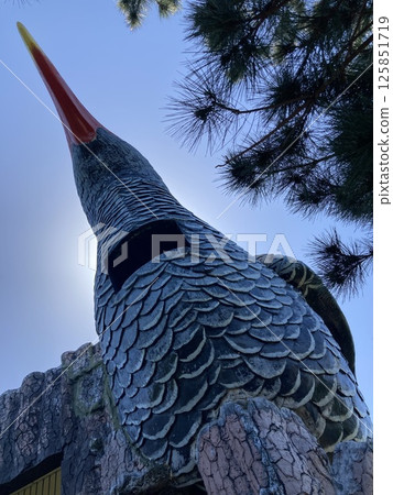 An observation deck in the shape of a Okinawa rail (Kunigami Village, Okinawa Prefecture) An observation deck in the shape of a Okinawa rail (Kunigami Village, Okinawa Prefecture) 125851719