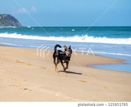 A dog running along a beach (AI-generated image) 125851785