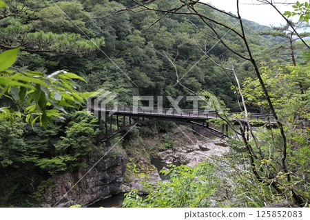 Rainbow Bridge seen from Ryuokyo Gorge, Nikko City, Tochigi Prefecture 125852083