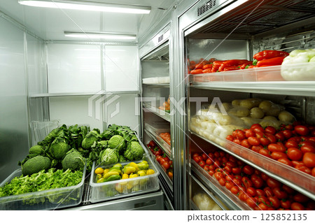Large fridge in a restaurant kitchen, filled with fresh vegetables, ideal for cold storage and freezer use. Industrial-size refrigerator and freezer in a warehouse setting 125852135