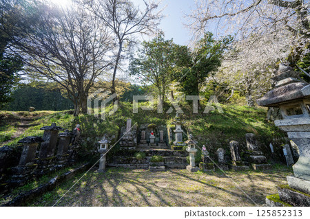 Spring scenery at Owakujuku on the Nakasendo 125852313