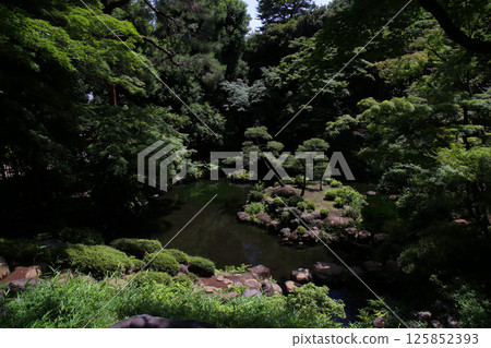次郎弁天池 次郎弁天池 125852393