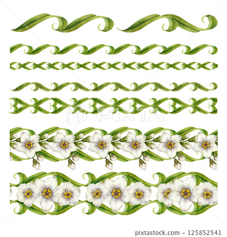 Set of watercolor white flowers, green swirl leaves elements to create various seamless borders. Botanical clip art for wedding invitations, eco design, stationery, spring decorations, scrapbooking. 125852541