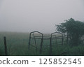 Plateau in the mist - Former pastureland 125852545