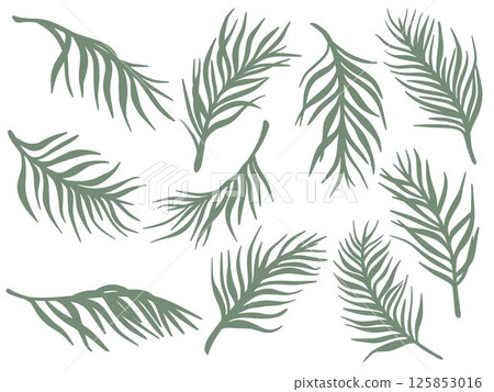 Set of green fresh palm branches 125853016