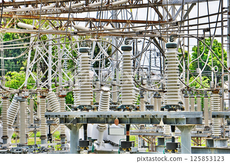 Insulators and terminals for substation equipment 125853123