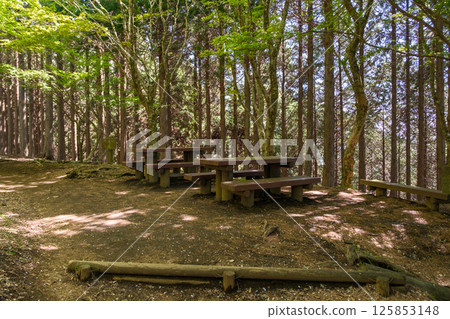 從Ybitsu山口到大山山頂。維護良好的大山路線遠足徑的景色。 125853148