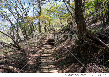 從Ybitsu山口到大山山頂。維護良好的大山路線遠足徑的景色。 125853154