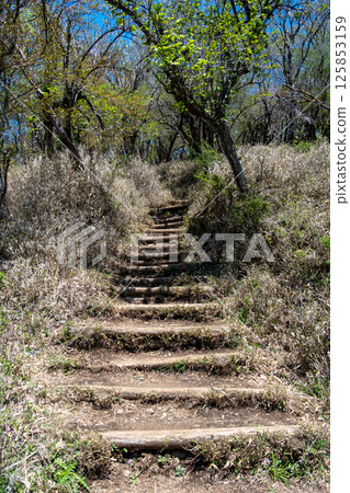 From Ybitsu Pass to the summit of Mt. Oyama. A view of the well-maintained Mt. Oyama course hiking trail. 125853159