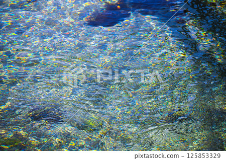 A spring-fed river that sparkles colorfully as it reflects the light [Azumino City] 125853329