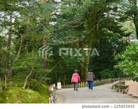 Female tourists sightseeing at Kenrokuen in winter 125853935