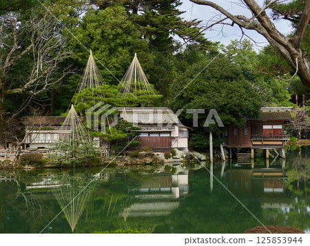 A winter view of the famous pond in Kenrokuen A winter view of the famous pond in Kenrokuen 125853944