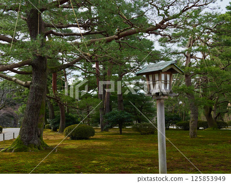 兼六園的冬日風景 125853949