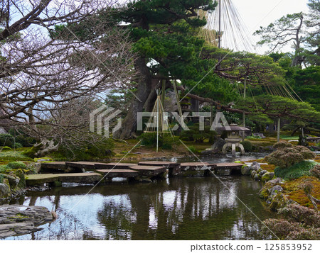 Scenery of the famous Gankobashi Bridge in Kenrokuen Garden in winter 125853952