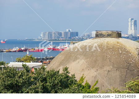A scenic view featuring a prominent dome structure, a bustling city skyline A scenic view featuring a prominent dome structure, a bustling city skyline 125854089