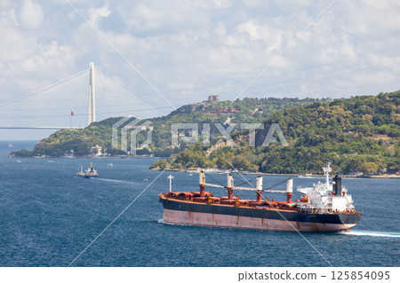 A scenic Bosporus view depicting a large cargo ship, Istanbul A scenic Bosporus view depicting a large cargo ship, Istanbul 125854095