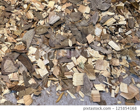 Dead leaves and pieces of wood scattered on the carpet Dead leaves and pieces of wood scattered on the carpet 125854168