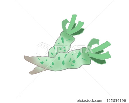 收穫的新鮮芥末的插圖 125854196