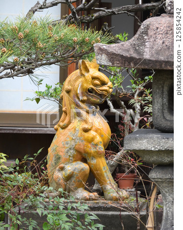 Matsukaze Tenmangu Shrine (Shoshukuin) Kyoto's most frightening lion statue 125854242