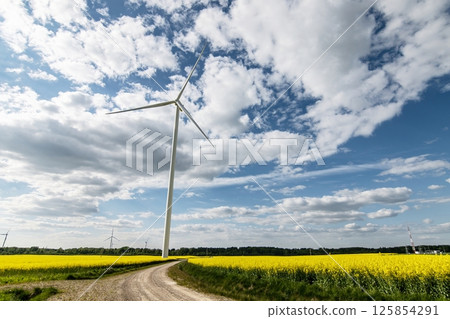 Yellow rapeseed field panorama with wind turbine or wind wheels. 125854291