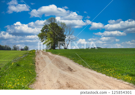 Rural Dirt Road Along Green Fields Under a Blue Sky with Clouds Rural Dirt Road Along Green Fields Under a Blue Sky with Clouds 125854301