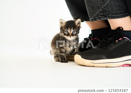Woman petting cute little kitten. Care concept Woman petting cute little kitten. Care concept 125854387