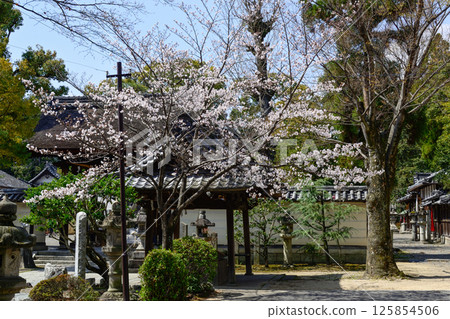 Tatsuki Shrine 125854506
