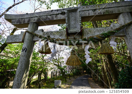 Tatsuki Shrine 125854509