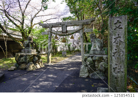 Tatsuki Shrine 125854511