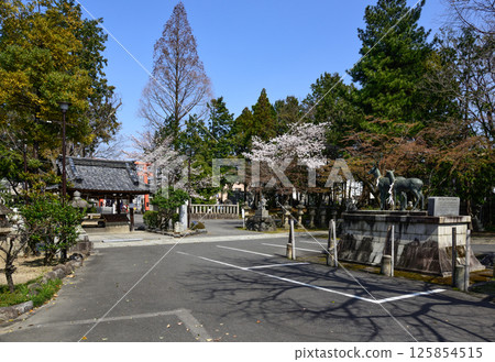 Tatsuki Shrine 125854515