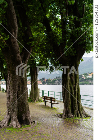 Tree-Shaded Bench Overlooking Scenic Lakeside View 125854533