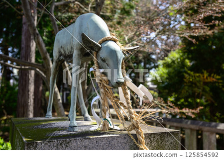 立木神社神鹿 立木神社神鹿 125854592