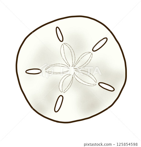 鱗鬆的裸殼 鱗鬆的裸殼 125854598