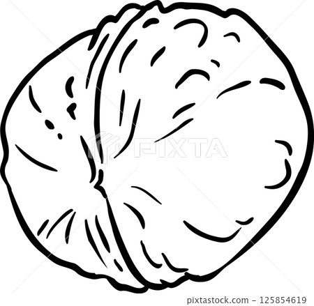 Walnut Outline Illustration. Organic natural nutritional healthy food ingredient, vegetarian diet product. Walnut Outline Illustration. Organic natural nutritional healthy food ingredient, vegetarian diet product. 125854619
