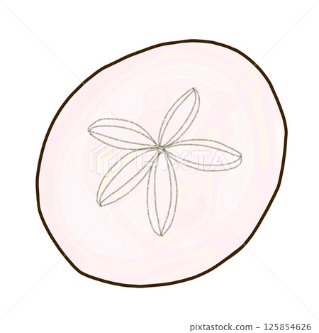 海葵的裸殼 125854626