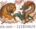 虎與龍的搏鬥 125854629