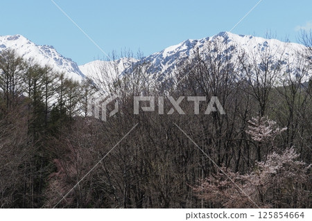 Snowy mountains and blue skies from Hakuba Village, Shinshu Snowy mountains and blue skies from Hakuba Village, Shinshu 125854664